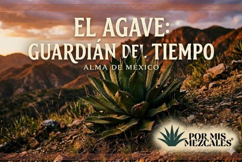 El Agave: El Guardián del Tiempo y el Alma de México.