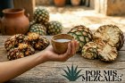 Magueyes que dan vida: Los 5 agaves silvestres que debes conocer